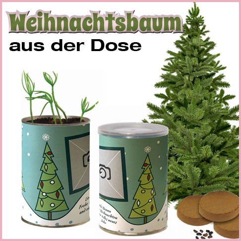 Weihnachtsbaum aus der Dose: ein originelles Weihnachtsgeschenk.