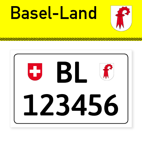 Auto Nummernschild Schlüsselanhänger, Custom Nummernschild