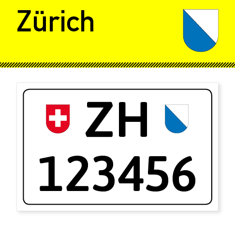 Personalisierter Kontrollschild Schlüsselanhänger mit Auto-Kennzeichen Schweiz