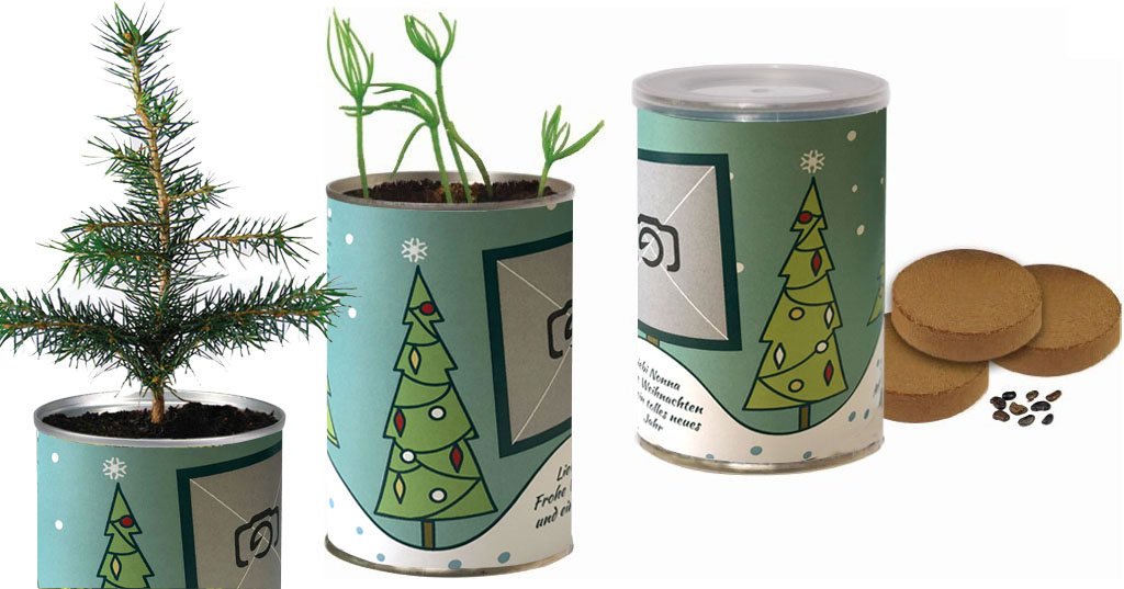 Die Geschenkidee: Weihnachtsbaum-Dose mit Ihrem eigenen Weihnachtsbaum