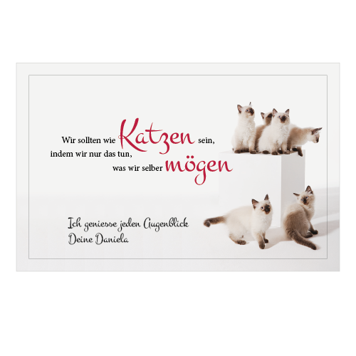 1008_Tee-Postkarte | Wir sollten wie Katzen sein...