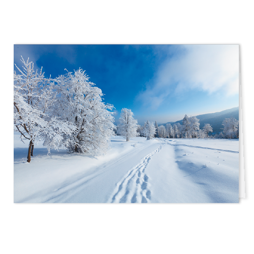 Weihnachtskarte 1020 | Spuren im Schnee